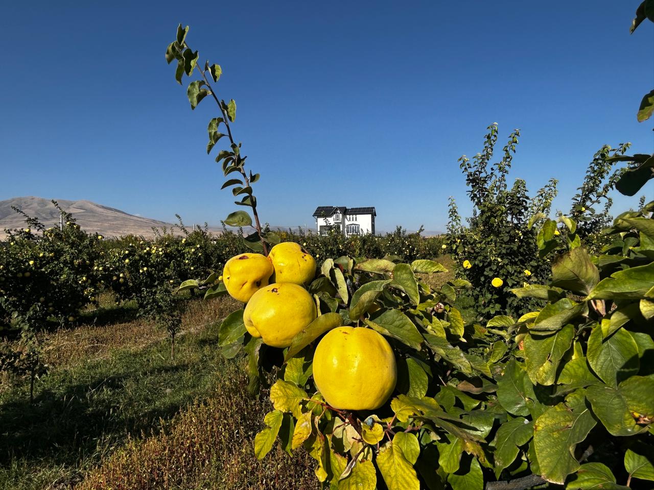 Կարեն Գևորգյան ԱՁ