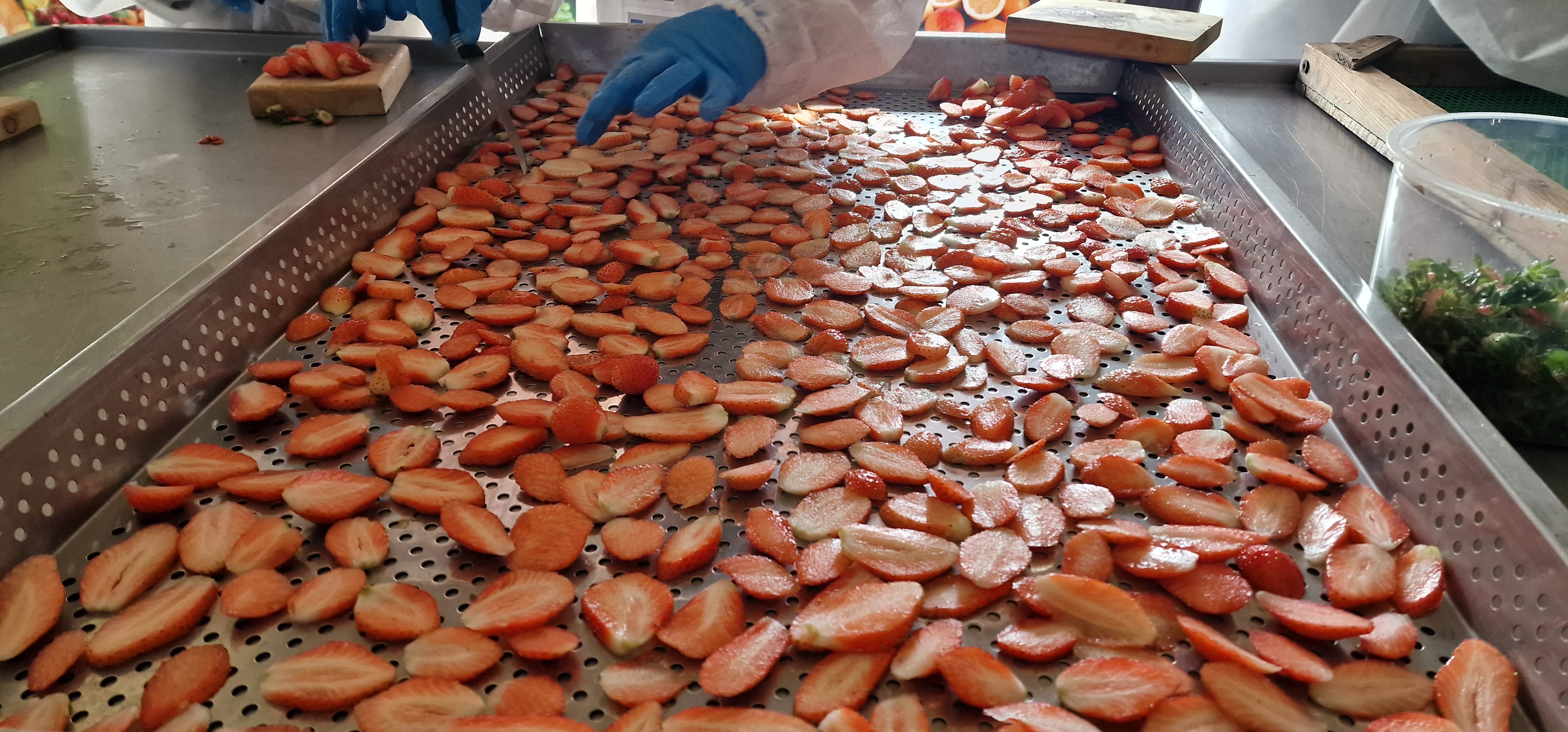 Կանաչ / օրգանական ելակի արտադրություն - նկարներ 3