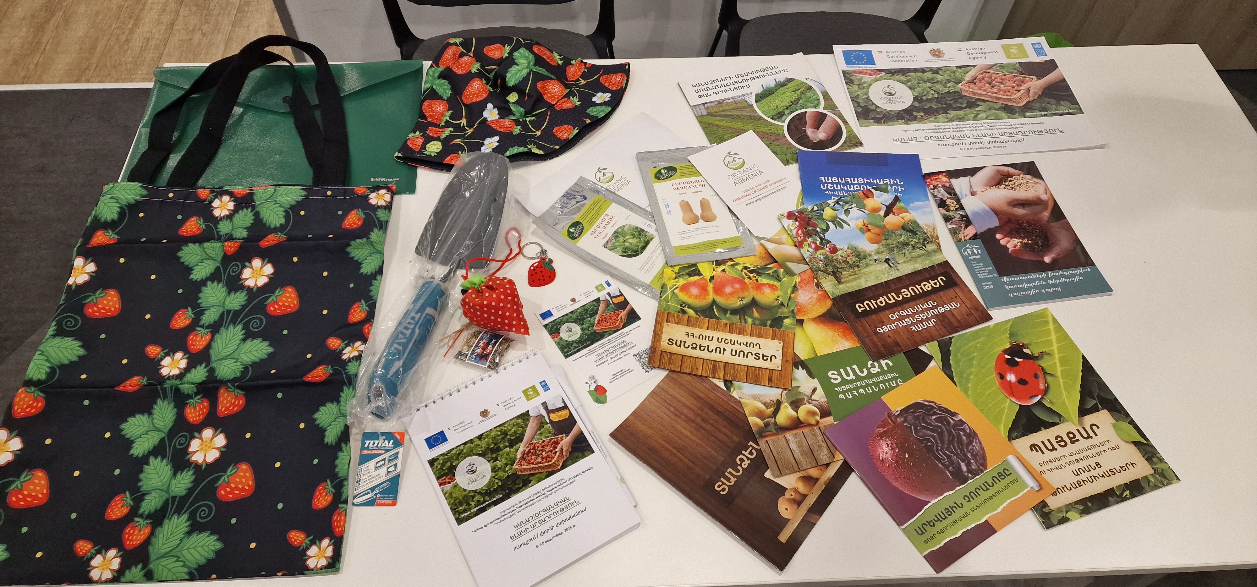 Կանաչ / օրգանական ելակի արտադրություն - նկարներ 5