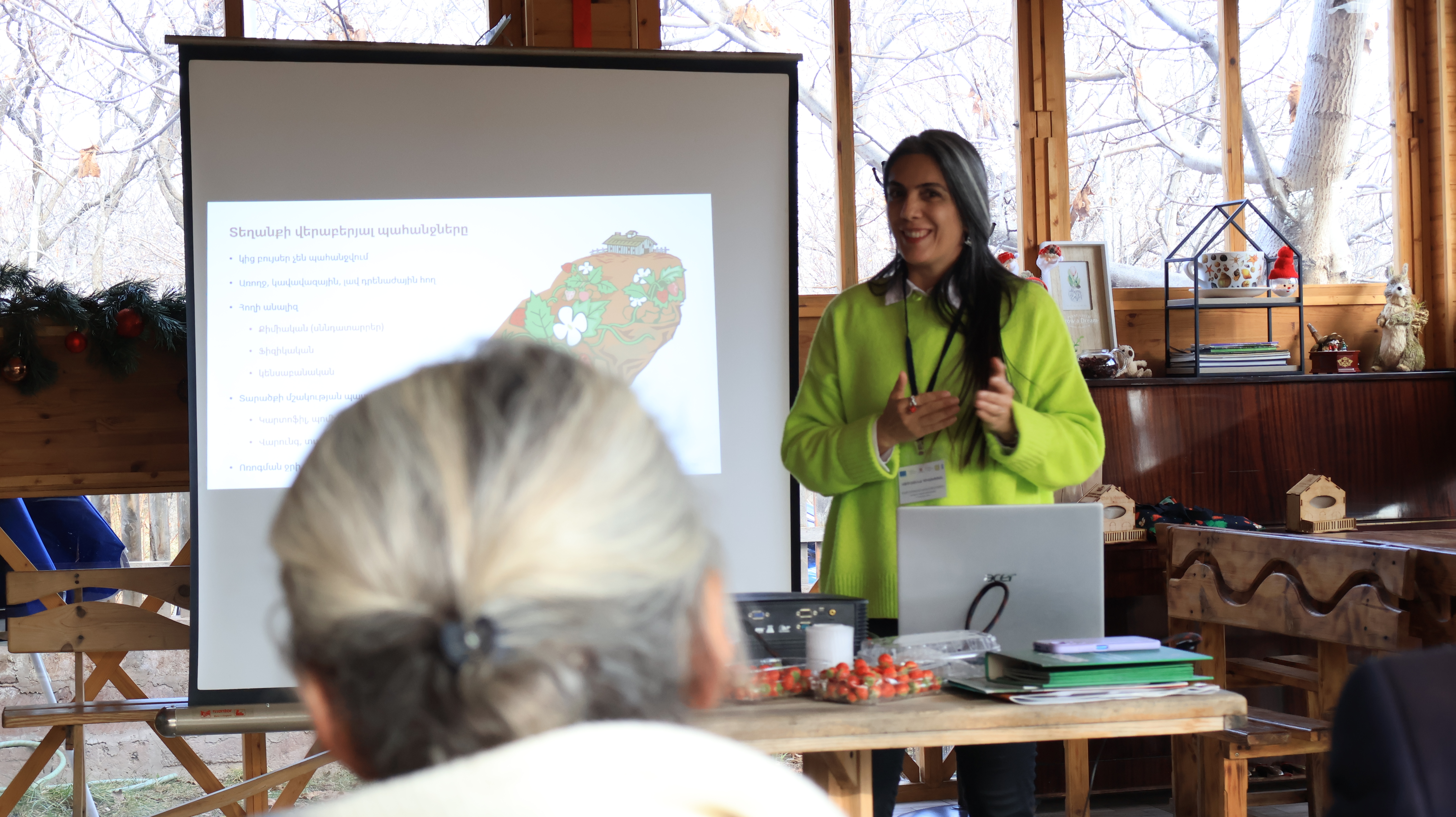 Կանաչ / օրգանական ելակի արտադրություն - նկարներ 9